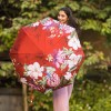 Crimson Garden Auto Open & Close Folding UPF50+ Umbrella by Anuschka