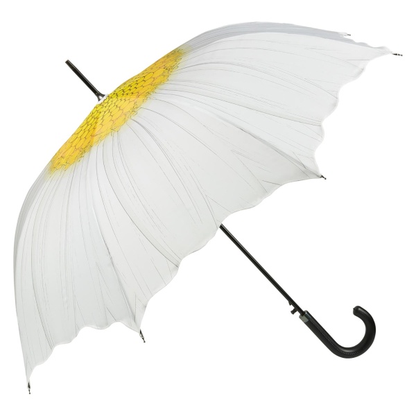 Flower Marguerite Daisy Art Print Walking Length Umbrella