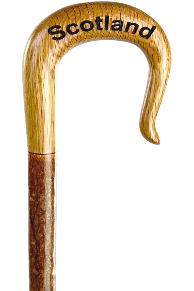 Handmade Scotland Oak Shepherd's Crook on Hazel Shaft