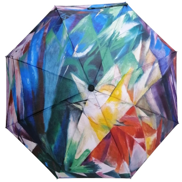 Stormking Auto Open & Close Folding Umbrella - Art Collection - Birds by Franz Marc